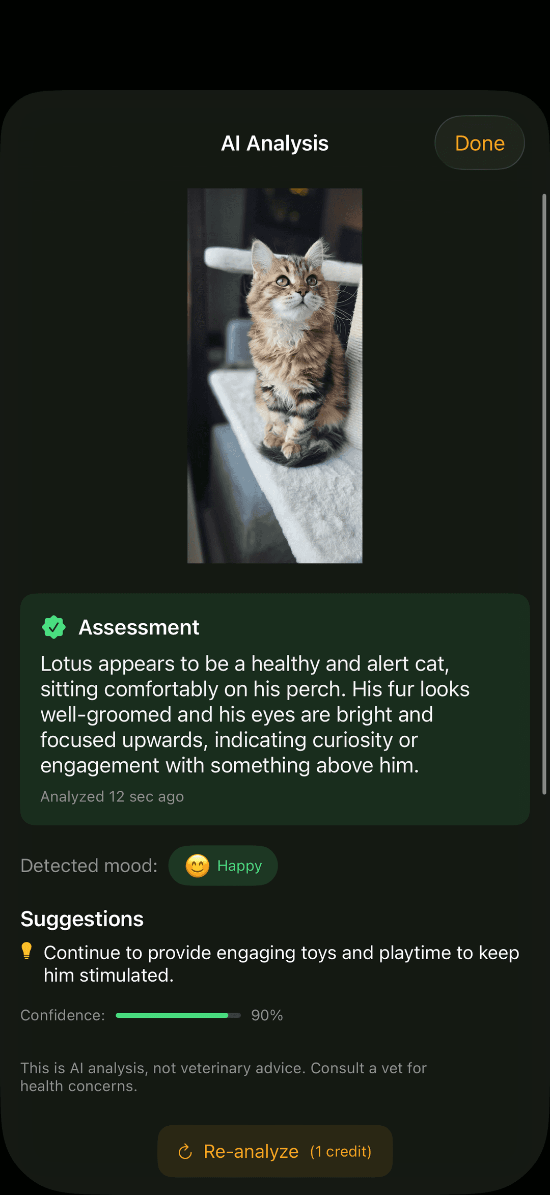 AI photo analysis showing health assessment and mood detection